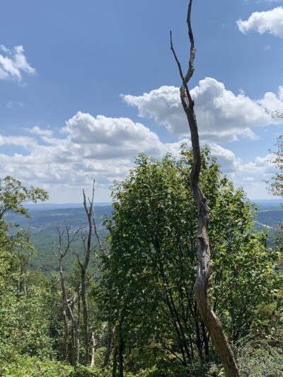 Bypass Trail - Slatington, PA