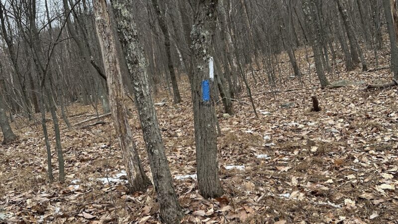 Bypass Trail - Slatington, PA
