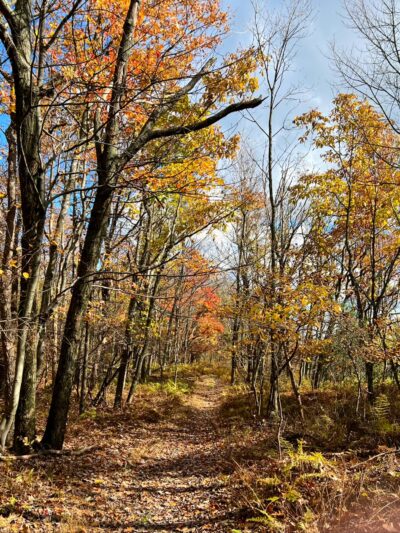 Bypass Trail - Slatington, PA