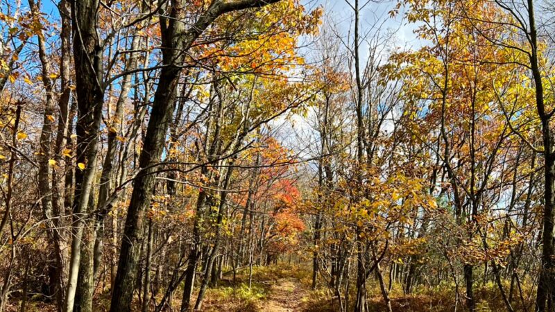 Bypass Trail - Slatington, PA