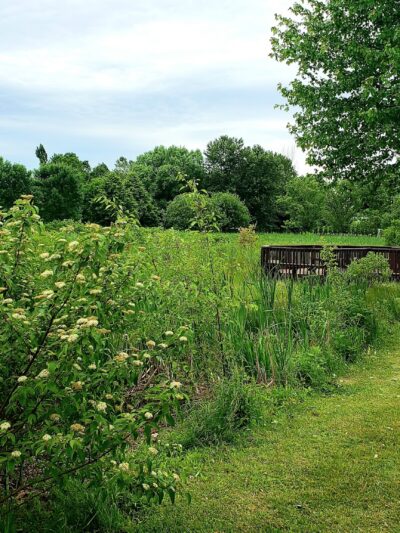 Eagles Nest Park - Slatington, PA