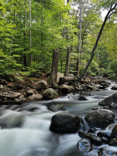 Dater Mountain Nature Park - Sloatsburg, NY