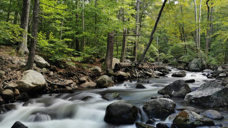 Dater Mountain Nature Park - Sloatsburg, NY