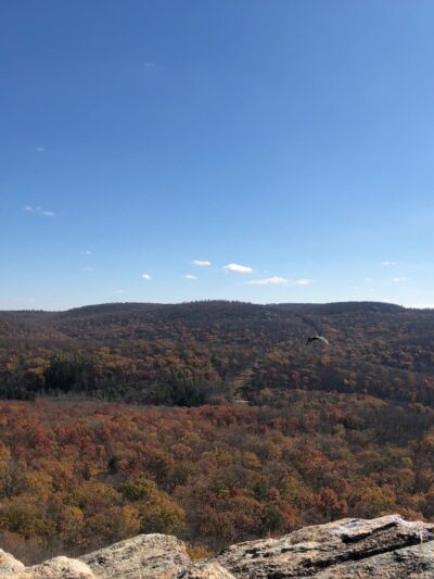 Dater Mountain Nature Park - Sloatsburg, NY