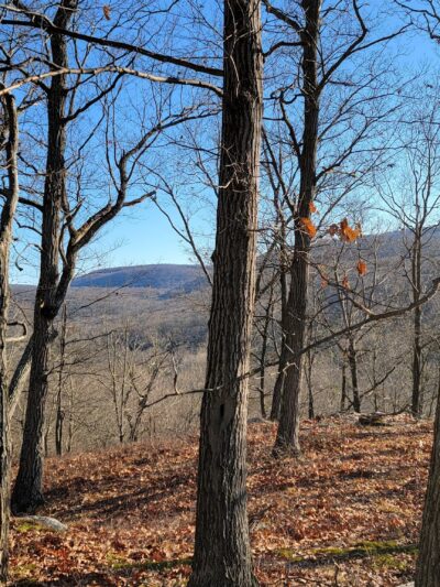 Dater Mountain Nature Park - Sloatsburg, NY