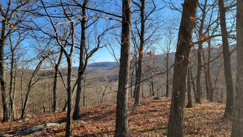 Dater Mountain Nature Park - Sloatsburg, NY