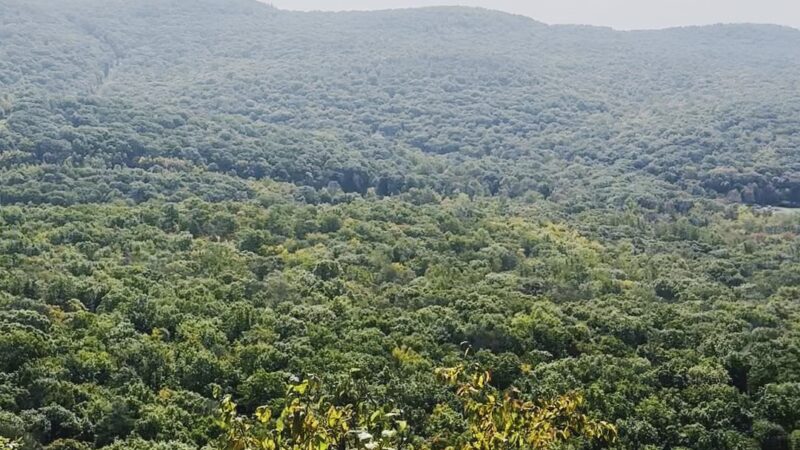 Dater Mountain Nature Park - Sloatsburg, NY