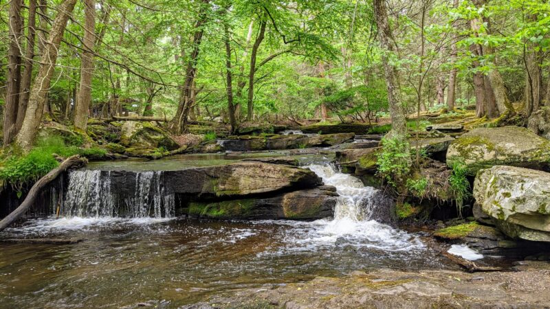 Forest Reserve At Smallwood - Smallwood, NY