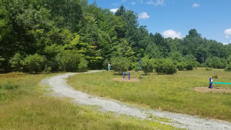 Forest Reserve At Smallwood - Smallwood, NY