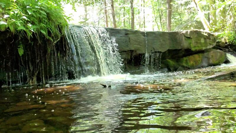 Forest Reserve At Smallwood - Smallwood, NY
