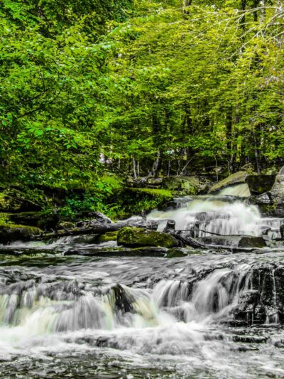 Forest Reserve At Smallwood - Smallwood, NY