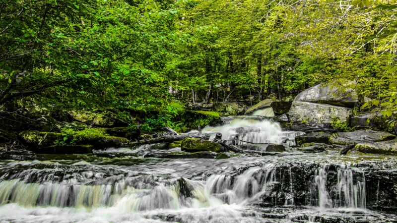 Forest Reserve At Smallwood - Smallwood, NY