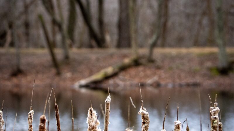 Lions Community Park - Smithsburg, MD