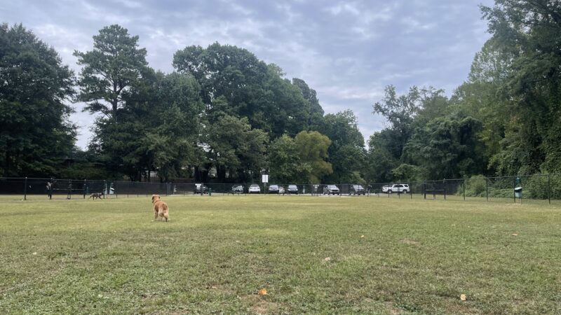 Burger Park - Smyrna, GA