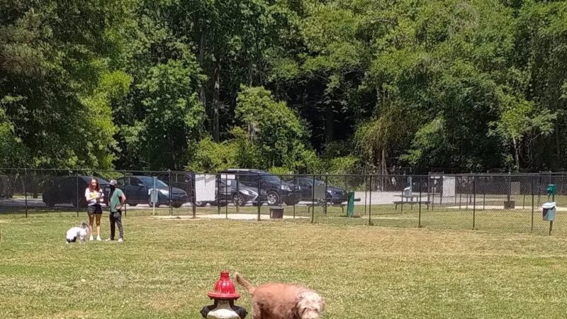 Burger Park - Smyrna, GA