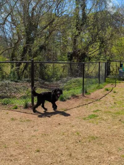 Smyrna Dog Park - Smyrna, GA