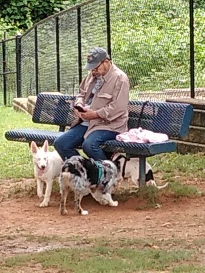 Smyrna Dog Park - Smyrna, GA