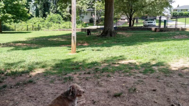 Smyrna Dog Park - Smyrna, GA