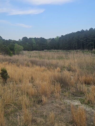Foster Tract Public Recreation Area - Snow Hill, MD