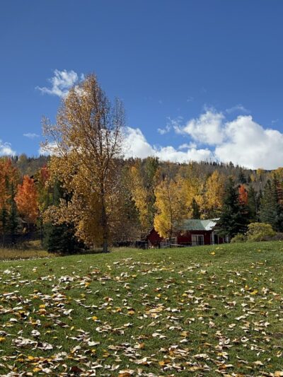 Cathy Robinson Playground - Snowmass Village, CO