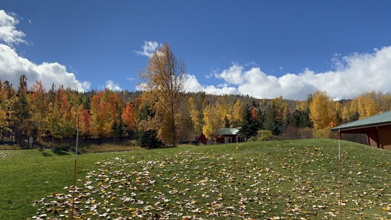 Cathy Robinson Playground - Snowmass Village, CO