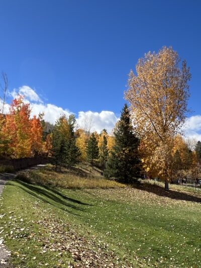 Cathy Robinson Playground - Snowmass Village, CO