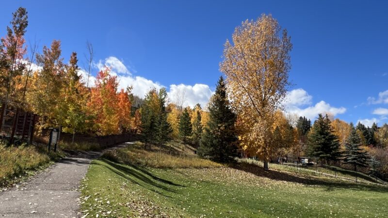 Cathy Robinson Playground - Snowmass Village, CO