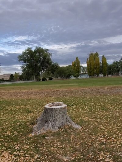 Snowville Park - Snowville, UT