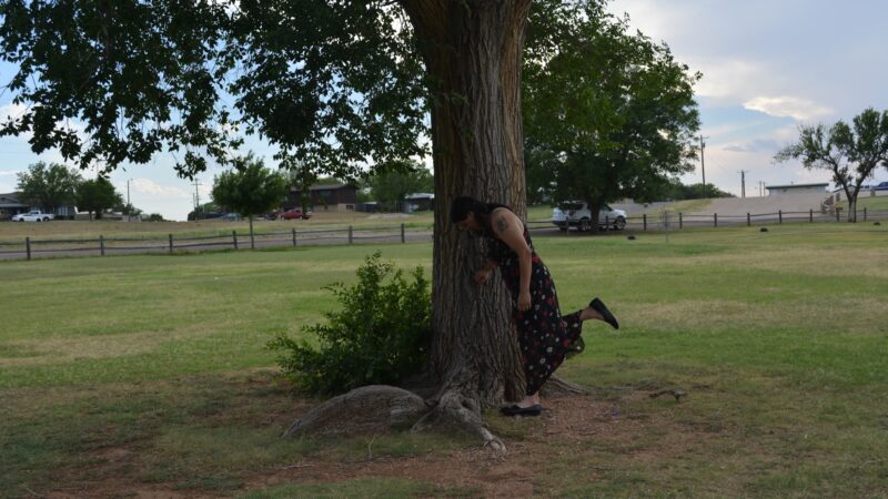 Towle Memorial Park - Snyder, TX