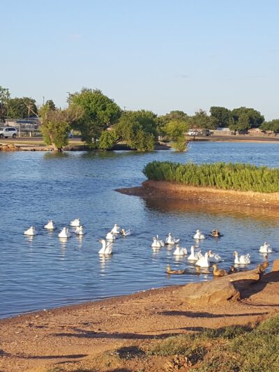 Towle Memorial Park - Snyder, TX