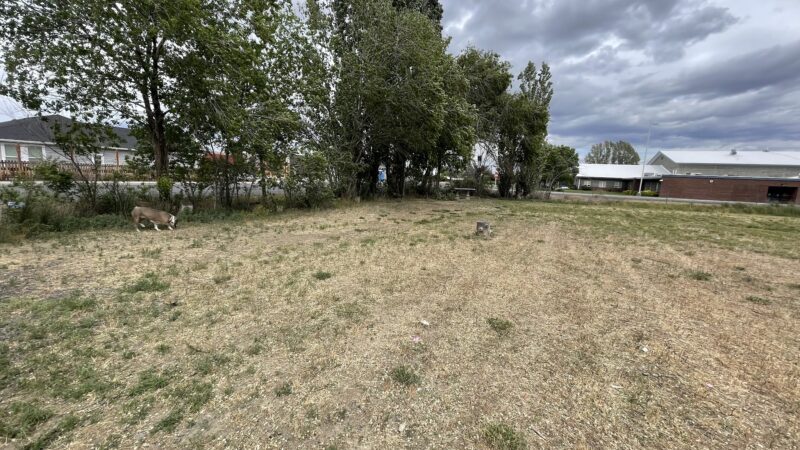 Soap Lake Dog Park - Soap Lake, WA
