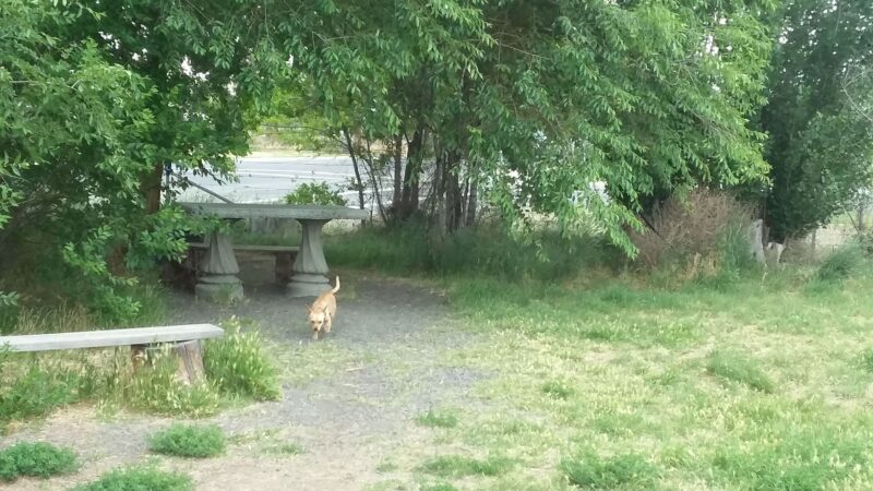 Soap Lake Dog Park - Soap Lake, WA