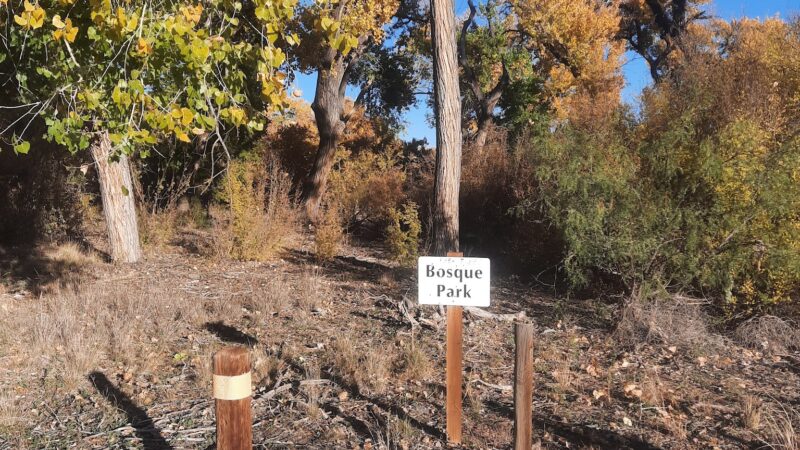 Bosque Park - Socorro, NM