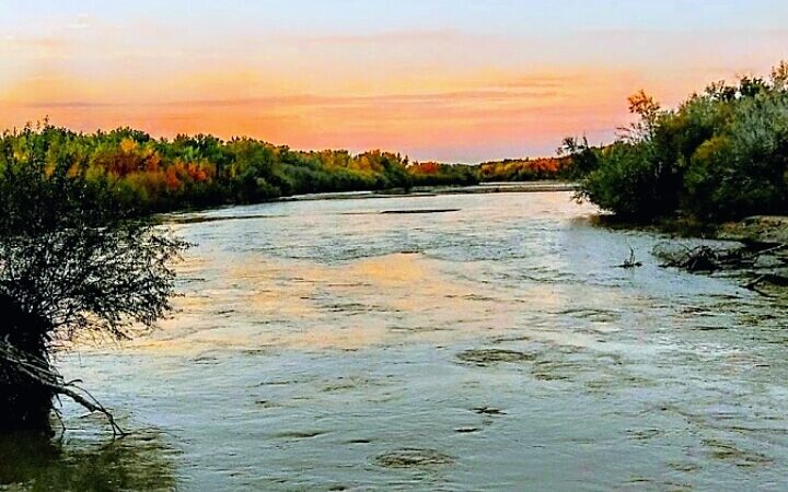 Bosque Park - Socorro, NM