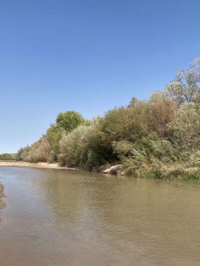 Island Park - Socorro, NM
