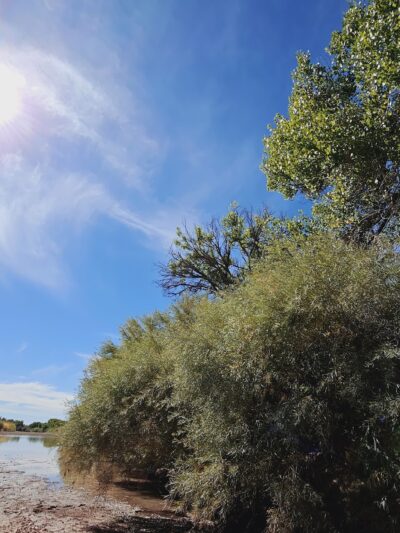 Otero Park - Socorro, NM