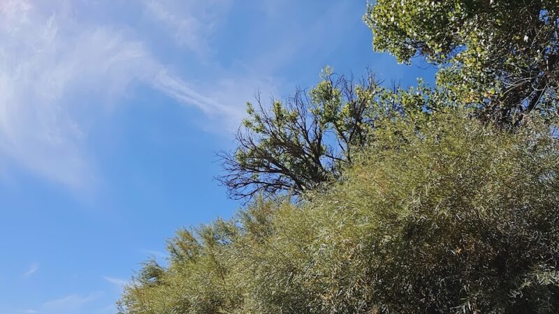 Otero Park - Socorro, NM