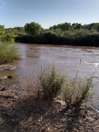 Otero Park - Socorro, NM