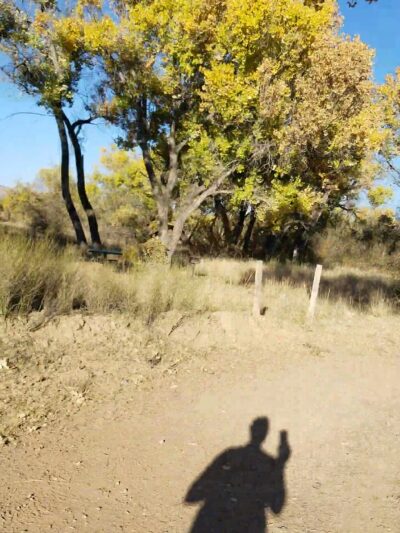 Sandbar Park - Socorro, NM