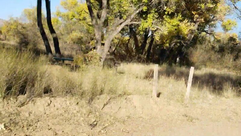 Sandbar Park - Socorro, NM