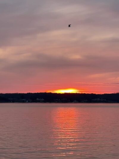 Solomons Island Gazebo - Solomons, MD