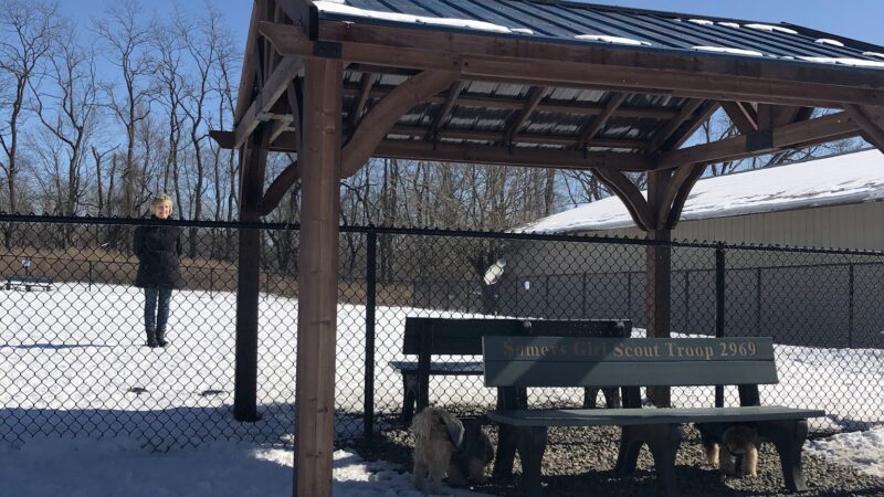 Somers Dog Park - Somers, NY