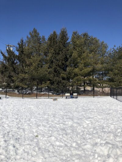 Somers Dog Park - Somers, NY