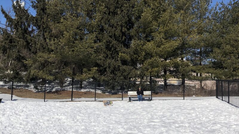 Somers Dog Park - Somers, NY
