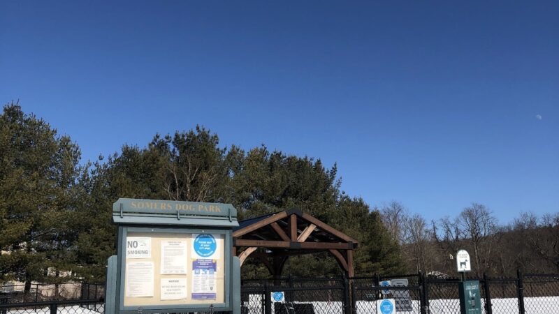 Somers Dog Park - Somers, NY