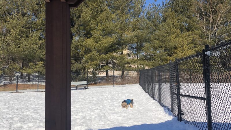 Somers Dog Park - Somers, NY