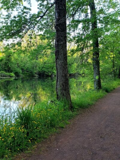 Delaware & Raritan Canal State Park Trail - Amwell Road - Somerset, NJ