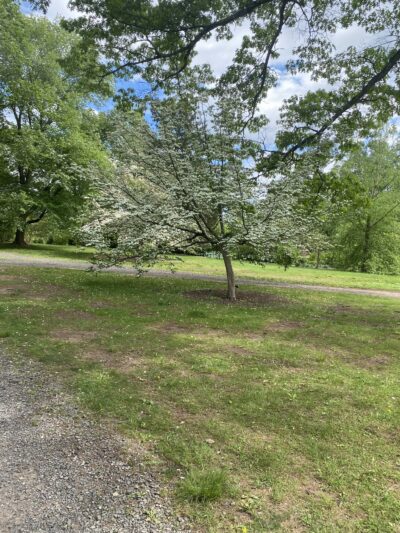 Delaware & Raritan Canal State Park Trail - Colonial Park - Somerset, NJ