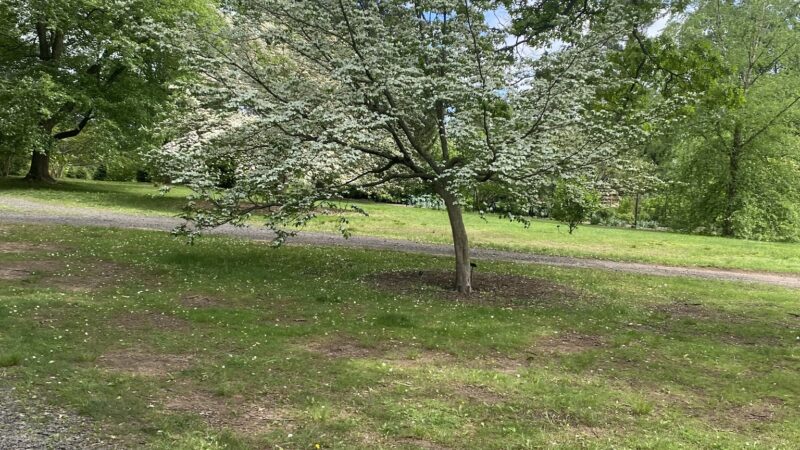 Delaware & Raritan Canal State Park Trail - Colonial Park - Somerset, NJ