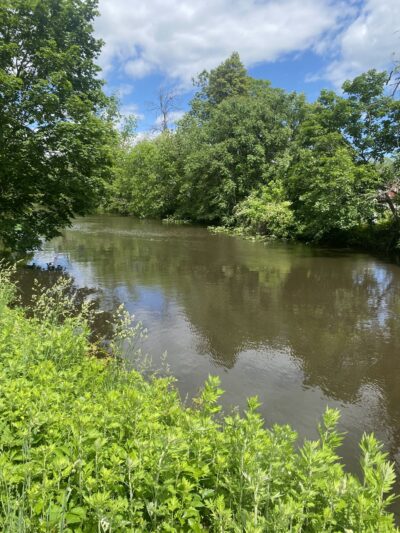 Delaware & Raritan Canal State Park Trail - Colonial Park - Somerset, NJ